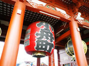 nekoneko����̗���i�����_��j�̓��e�ʐ^2