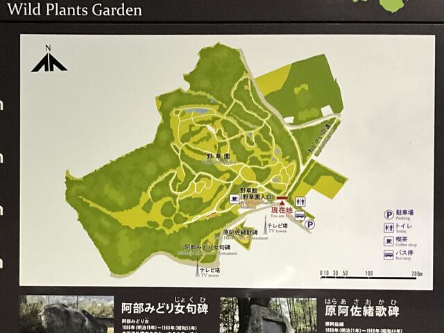 ���s�쑐��