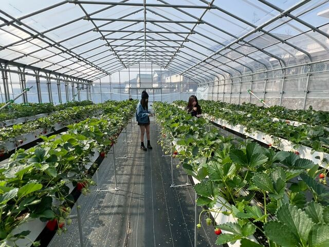 �����ő��������ꂢ_�y��؁z�����������_��