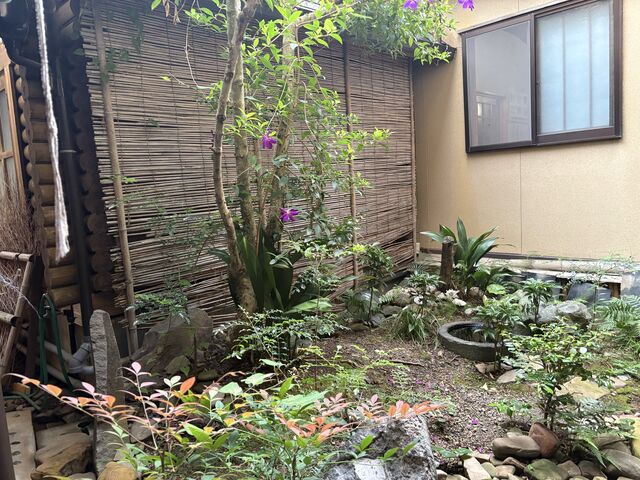 ����_���m�{����