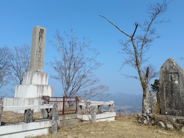 ������������̔����Ղ̓��e�ʐ^6