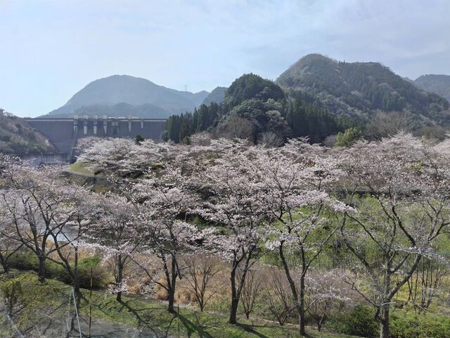 sakky����̖�n��_���̓��e�ʐ^1