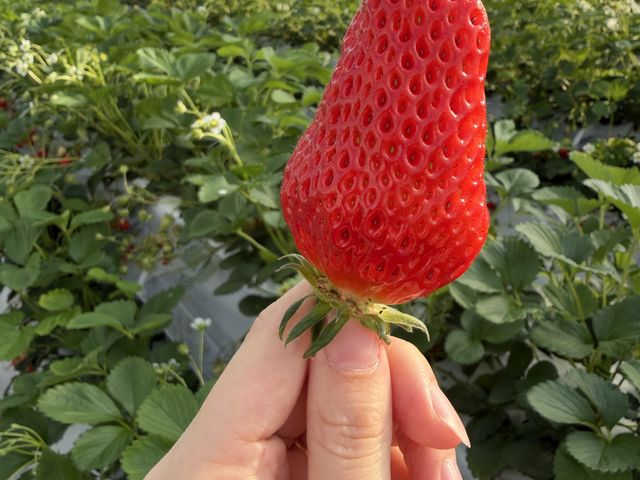 ��������������_�X�̂�����