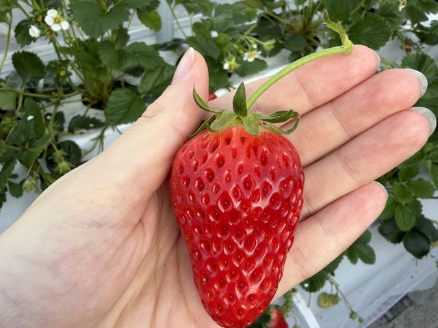 �͕P_�X�̂�����