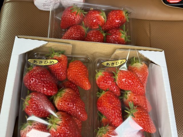 ���肪�Ƃ��������܂��B_�X�̂�����