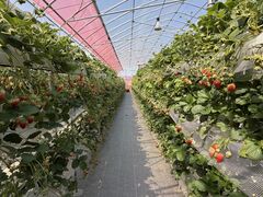 ���������z�C���̎ʐ^1