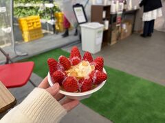 ���������z�C���̎ʐ^2