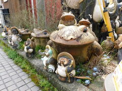 �O���`������̃^�k�L�̏ĕ��ւ̓��e�ʐ^1