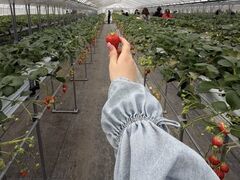 �r�{�_���̎ʐ^1