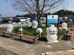 �O���`������̓y�R�T�[�r�X�G���A�̓��e�ʐ^1