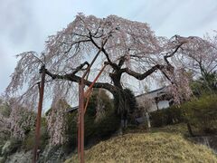 sakky����̌��~���ւ̓��e�ʐ^1