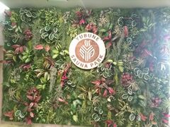 YUBUNE SAUNA PARK -�͂ɂイ�̓�-�̎ʐ^1