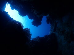 �[���O�����B�e�B�@�������B���̎ʐ^1