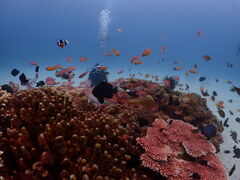 �[���O�����B�e�B�@�������B���̎ʐ^2