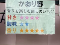 �����͂�X�g���x���[�t�@�[���̎ʐ^1