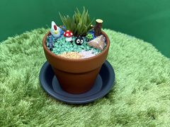 �����܉�Kagu�J�t�F�̎ʐ^1