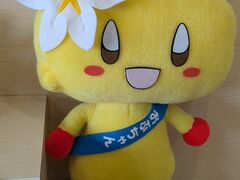 ������[����̓�c�r�Z���g�i�̓��e�ʐ^1