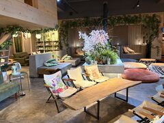 ���ӂ�cafe �n���j���̓��̎ʐ^1