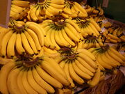 yosshy����̃��s�A �ԓc�X�̓��e�ʐ^3