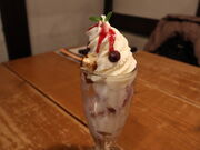 yosshy����̃��K�̓��e�ʐ^5