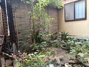 4�l�̂��[����񂳂�̓��m�{����̓��e�ʐ^1