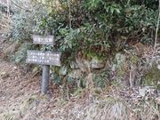 ������������̔����Ղ̓��e�ʐ^4