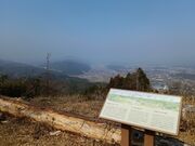 ������������̔����Ղ̓��e�ʐ^5