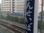 �T���v������̃}�[�`�G�L���[�g�_�c�������̓��e�ʐ^1