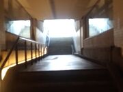 �T���v������̃}�[�`�G�L���[�g�_�c�������̓��e�ʐ^2