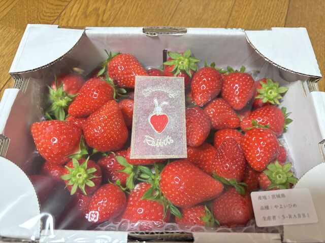 ���y�Y�p�ɍw���B
�ƂĂ����������ł��B
�I�X�X���ł��I_Strawberry Rabbit's