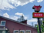 �肫����񂳂�̓��̖������T�L�X�̓��e�ʐ^4
