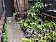 kanamisyusa����̘a���ǖ� ������̓��e�ʐ^3
