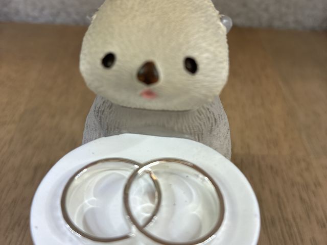 �F�l�ƃy�A�����O�����I_�A�J�l�X�S�֋�