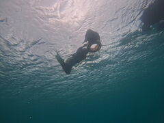 ON SHORE�̎ʐ^1
