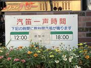 harusu����̂i�q�V���w�̓��e�ʐ^4