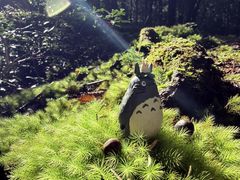 �A�E�g�h�A�̌� in �x�m�R�[ FUJI HAT�̎ʐ^4