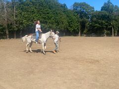 HORSE BASE�̎ʐ^1