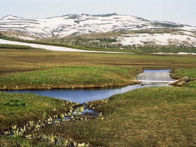 �쏋���x_�쏋���x