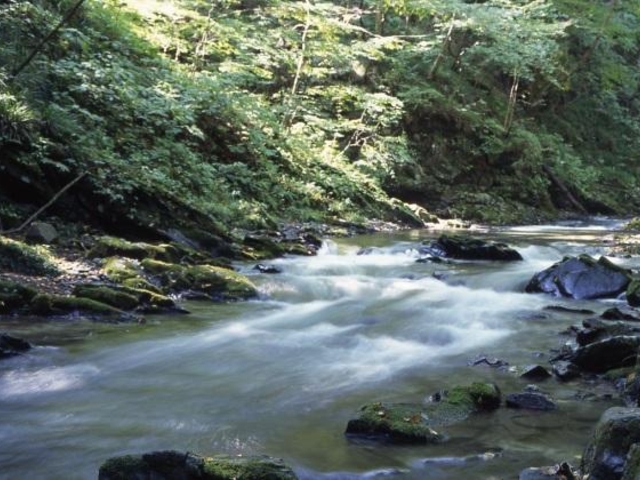 ���a�R_���a�R