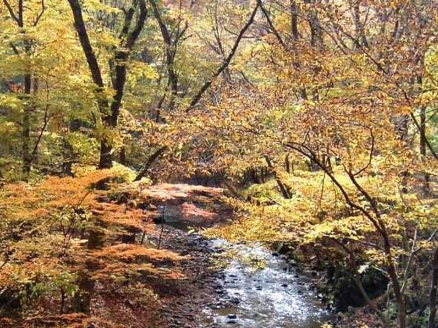 ���a�R_���a�R