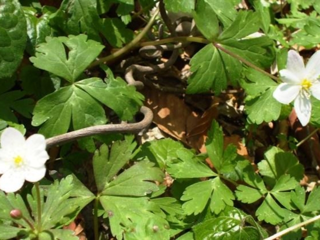 ���a�R_���a�R