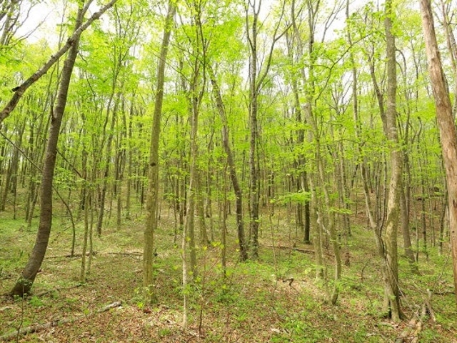 �R��_�����R