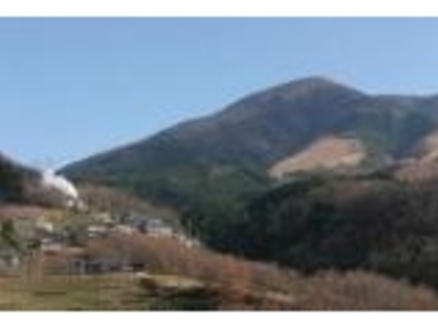 �R�쉷�򂩂�̌i��_�N�W�R�i�����x�m�j