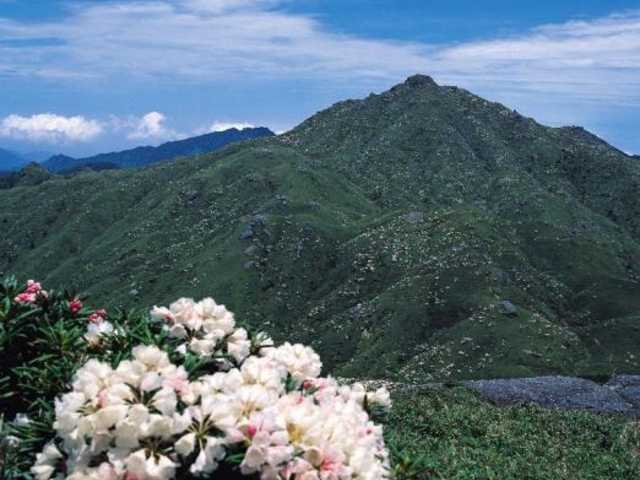 �V���N�i�Q�Ƌ{�V�Y�x_�{�V�Y�x