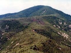 ��q�x�̎ʐ^1