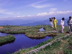 ���ؕ�̎ʐ^1