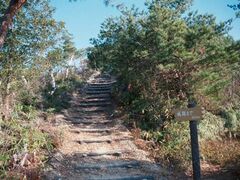 ������R�̎ʐ^1