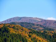 ���q�R�̎ʐ^4