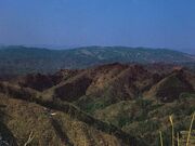 ���_�R�̎ʐ^1