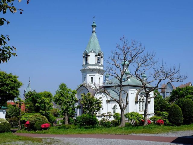 ���كn���X�g�X������